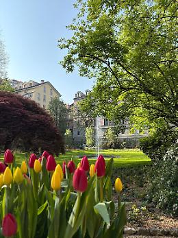 Riapre al pubblico il giardino di Palazzo Cisterna