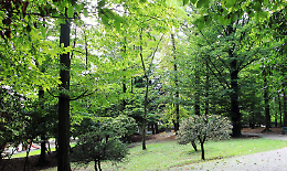 Rivoli: al via la riqualificazione dei giardini pubblici