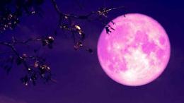 La luna rosa arriva in Italia: ecco quando vederla a Torino!