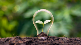 Giovani amministratori in azione: il futuro sostenibile prende forma in Piemonte