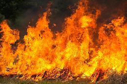 Incendio nella notte a Chivasso: fiamme e paura in frazione Torassi