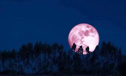 Micromoon, stanotte lo spettacolo celeste: la luna più piccola e meno luminosa dell'anno