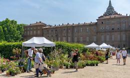 ll Festival del Verde triplica: ecco i grandi eventi