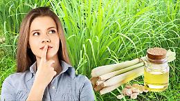 Profuma di limone, ma non lo è: il segreto del lemongrass e dei suoi benefici