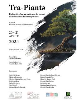 "Tra-Piantə": a Monforte d'Alba una mostra di bonsai e arte contemporanea