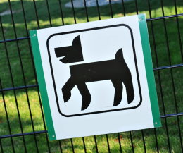 Torino e il dilemma delle aree cani: tra promesse e attese interminabili