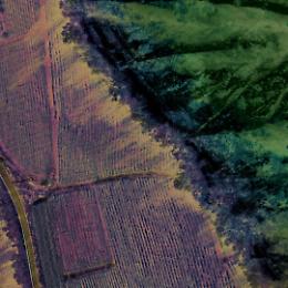 Olga Cafiero da Camera: un viaggio visivo nelle Langhe attraverso l'obiettivo