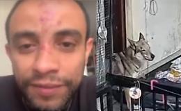 Cane solo sul terrazzo: picchiato il padrone 
