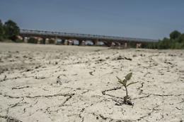 Emergenza idrica in Piemonte: Anbi lancia l'allarme e chiede la "severità Alta"