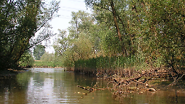 Le bellezze del Parco della Confluenza: ecco cosa vedere