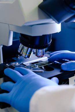 Cosmetici e giocattoli in cima alla lista UE dei prodotti più segnalati: boom di allarmi nel 2024