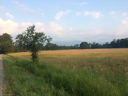 Il ritorno della natura: riapre il Parco La Mandria dopo il maltempo