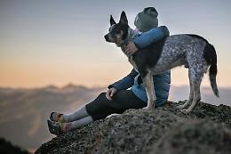 I cani ci ascoltano (e ci capiscono): uno studio scientifico lo conferma
