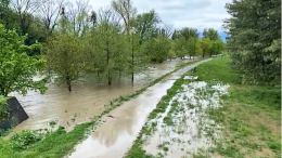 Piove e la Dora esonda alla Pellerina: «Sicuri di voler costruire qui il nuovo ospedale?»