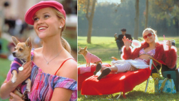 Elle Woods torna al liceo: in arrivo il prequel di “La rivincita delle bionde”