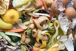 Accademie di filiera piemontesi contro lo spreco alimentare