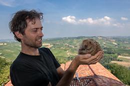 Chi è Massimo Vacchetta, l'uomo che salvando i ricci ha colpito anche Brigitte Bardot