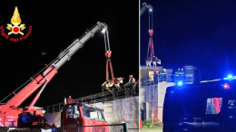 Mucca cade nel canale a Borgone Susa: salvata dai vigili del fuoco con l’autogru-FOTO