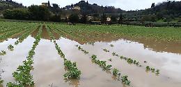 Maltempo in Piemonte: agricoltura in crisi per la necessità di riprogrammare le semine