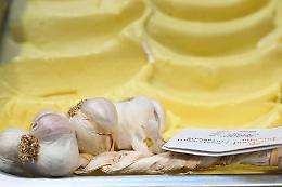 Gelato salato: un trend gastronomico in crescita (e dove gustarlo a Torino)