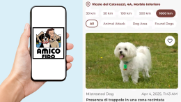 "Amico Fido": L’app che protegge i cani dai bocconi avvelenati