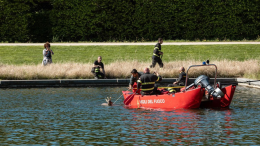 Capriolo curioso alla Reggia di Venaria, salvato da vigili del fuoco e guardie parco