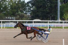 Vinovo, un aprile da record: l'ippodromo chiude in bellezza con sette corse mozzafiato