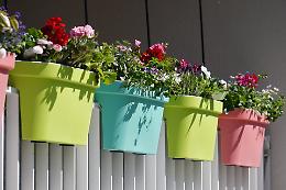 I 10 migliori fiori da balcone per uno spazio sempre fiorito