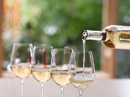 Il Gavi World Tour approda a Torino: un viaggio tra eccellenza vinicola e cultura piemontese