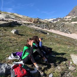 Un’estate tra le vette del Gran Paradiso: volontariato, natura e avventura