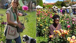"Tre Giorni per il Giardino": piante, fiori e cultura verde al Castello e Parco di Masino