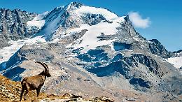 Passeggiata al tramonto nel Parco Nazionale Gran Paradiso
