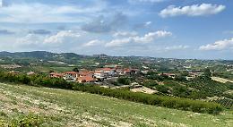 Montaldo Roero: un nuovo punto di riferimento per la gestione forestale