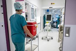 Come funziona la donazione di organi in Italia