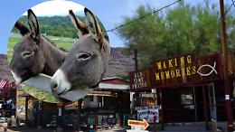 Oatman, la ghost town più viva d'America sulla Route 66