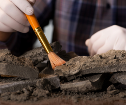 Le missioni archeologiche dell'Università di Torino svelano il passato dal Mediterraneo all'Asia Centrale