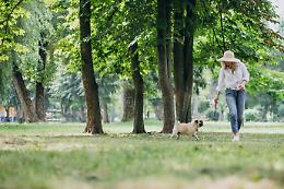 Chieri e il dilemma delle aree verdi: cani, cittadini e convivenza difficile