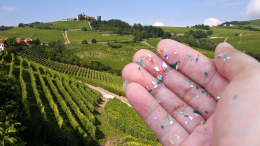 Le microplastiche nei vigneti delle Langhe e del Roero, parlano gli esperti