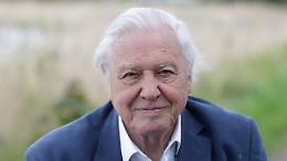 "Ocean": Il Nuovo Documentario di David Attenborough per la Salvaguardia degli Oceani