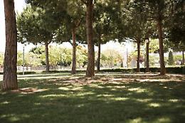 Alla scoperta della biodiversità: il Festival del Verde a Moncalieri