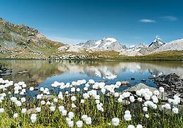 “Natura in Evoluzione”: il Gran Paradiso racconta la migrazione tra scienza e spettacolo