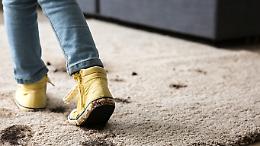 Cammini in casa con le scarpe? Potresti essere multabile fino a 309 euro con 3 mesi di reclusione