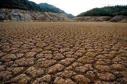 Sud, imprese agroalimentari in allerta climatica
