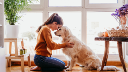Lo stress dei padroni? I cani lo sentono e lo riflettono: ecco perché