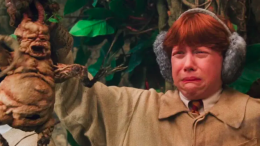 Le piante "parlano" in ultrasuoni quando sono stressate e malate (e questi animali possono sentirle)