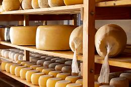 Scalenghe celebra la tradizione casearia: LatteforMaggio tra sapori e cultura