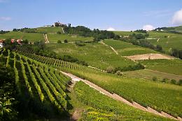 Langhe, Roero e Monferrato saranno su Rai Scuola: il docufilm che celebra le colline del vino