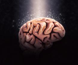 Gli scienziati hanno creato computer viventi fatti di neuroni umani
