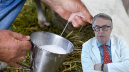 Latte crudo: gravi rischi per la salute, Burioni avverte dopo nuovi casi mortali