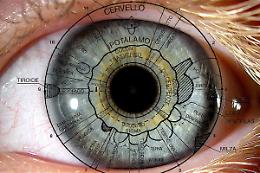 Iridologia tra mito e realtà: il mondo della lettura dell'iride tra scetticismo scientifico e credenze popolari